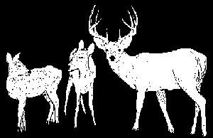 deer.gif (3664 bytes)